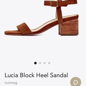 Nisolo - Lucia Clock Heels in Nutmeg